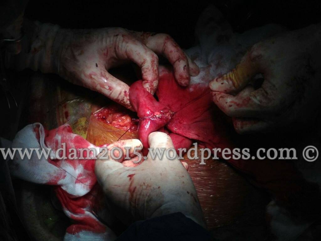 13241720_10208092819071249_1711916906_o